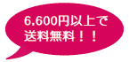 6,000円以上(税抜)ご購入で送料無料！3,000円以上(税抜)で代引手数料無料！