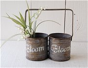 BLOOM HANDLE 2 POT