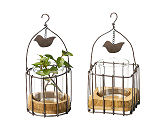 Wire Cage w/glass　Bird