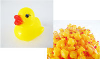 (通販) MINI　DUCK　1pcs